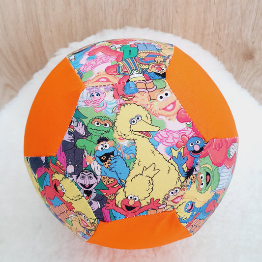 Balloon Ball Cover - Balloon Balls -  Handmade Fabric Balloon Cover -Sesame Street print